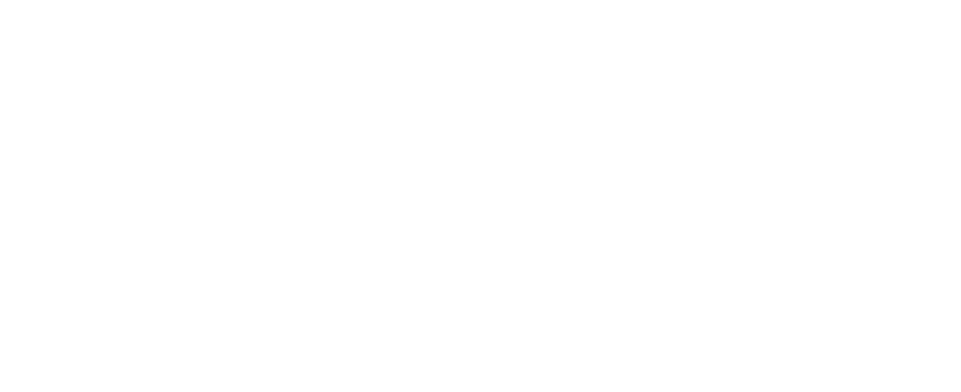 Barry Savage Logo in White